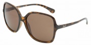 D&G DD8082 Sunglasses Sunglasses - 502/73 Havana / Brown