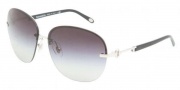 Tiffany & Co. TF3023 Sunglasses Sunglasses - 60013C Silver / Gray Gradient