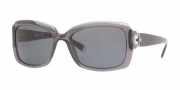 DKNY DY4073 Sunglasses Sunglasses - 349387 Transparent Gray / Gray