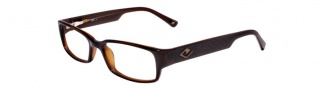 JOE Eyeglasses JOE4008  Eyeglasses - Walnut
