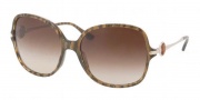 Bvlgari 8087A Sunglasses Sunglasses - 515613 Croisette Brown / Brown Gradient 