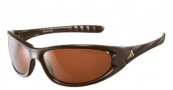 Adidas A378 Koltari Sunglasses Sunglasses - 6055 Shiny Dark Chocolate