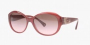 Coach HC8010B Sunglasses Payton Sunglasses - 504114 Berry Brown / Gradient Pink