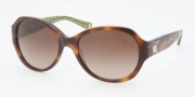 Coach HC8022B Sunglasses Cameron Sunglasses - 503113 Tortoise / Brown Gradient