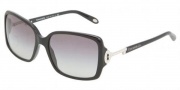 Tiffany & Co. TF4043B Sunglasses Sunglasses - 80013C Black / Gray Gradient