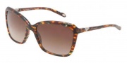 Tiffany & Co. TF4057B Sunglasses Sunglasses - 81143B Havana / Brown Gradient 