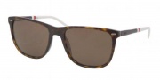 Polo PH4064 Sunglasses Sunglasses - 527687 Transparent Blue / Gray