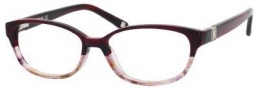Liz Claiborne 389 Eyeglasses Eyeglasses - 0CY3 Purple Black 