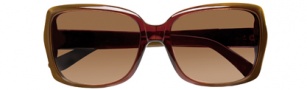 BCBGMaxazria Flirt Sunglasses  Sunglasses - BRO Brown Fade 