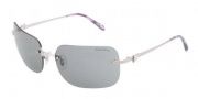 Tiffany & Co. TF3038B Sunglasses  Sunglasses - 60523F  Silver Gray