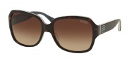Coach HC8043 Sunglasses Sunglasses - 508913 Dark Tortoise Grey