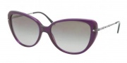 Ralph Lauren RL8094B Sunglasses Sunglasses - 539411 Transparent Violet / Gradient Grey 
