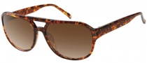 Gant GS Etna Sunglasses Sunglasses - TO-34P: Tortoise 