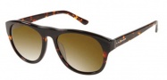 Gant GS Maxwell Sunglasses Sunglasses - AMBTO1P: Amber Tortoise 
