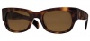 Oliver Peoples Hollis