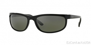 Ray-Ban RB2027 Sunglasses Predator 2 Polarized  - Ray-Ban