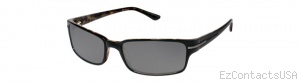 Tommy Bahama TB 534sp Sunglasses - Tommy Bahama