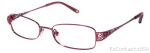 Tommy Bahama TB 170 Eyeglasses - Tommy Bahama
