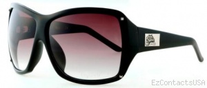 Black Flys On The Fly Sunglasses  - Black Flys