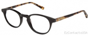 Modo 209 Eyeglasses - Modo