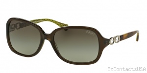 Coach HC8019 Sunglasses Beatrice - Coach