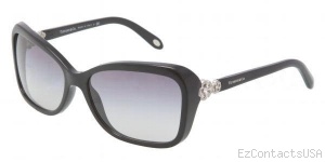 Tiffany & Co. TF4052B Sunglasses - Tiffany & Co.