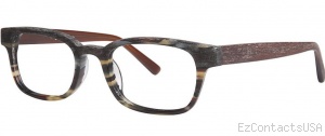 OGI Eyewear 3113 Eyeglasses - OGI Eyewear