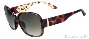 Salvatore Ferragamo SF603S Sunglasses - Salvatore Ferragamo