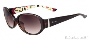 Salvatore Ferragamo SF605S Sunglasses - Salvatore Ferragamo