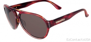 Salvatore Ferragamo SF619S Sunglasses  - Salvatore Ferragamo
