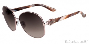Salvatore Ferragamo SF101S Sunglasses - Salvatore Ferragamo