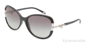 Tiffany & Co. TF4067 Sunglasses - Tiffany & Co.
