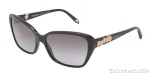 Tiffany & Co. TF4069B Sunglasses - Tiffany & Co.
