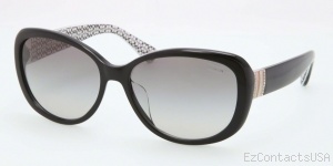 Coach HC8040BF Sunglasses - Coach