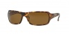 Ray-Ban 4075 Sunglasses