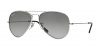 Ray-Ban RB 8041 Polarized Sunglasses