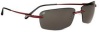Serengeti Parma Sunglasses
