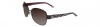 Tommy Bahama TB7011 Sunglasses