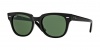 Ray-Ban RB4168 Sunglasses