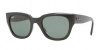 Ray-Ban RB4178 Sunglasses