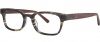 OGI Eyewear 3113 Eyeglasses