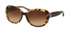 Coach HC8040B Sunglasses