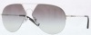 DKNY DY5075 Sunglasses
