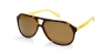 Dolce & Gabbana DG4169 Sunglasses