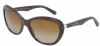Dolce & Gabbana DG4150 Sunglasses
