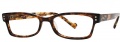 OGI Eyewear 3064 Eyeglasses