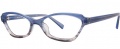 OGI Eyewear 3102 Eyeglasses