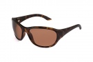 Bolle Stormy Sunglasses Sunglasses - 11179 Dark Tortoise / TLB Dark 