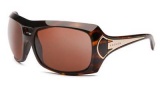 Kaenon Calais Sunglasses Sunglasses - Tortoise / C-12