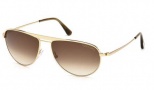 Tom Ford FT0207 Sunglasses William Sunglasses - 28F Gold Brown/Brown shaded Lens
